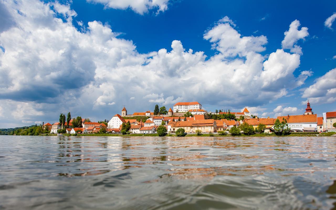 Hotel Pomaranca Птуй Экстерьер фото